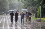 پیش‌بینی بارش باران در اردبیل